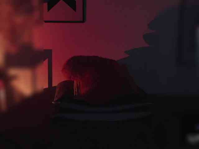 Karlacortes webcam