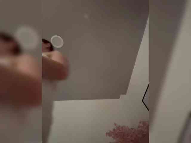 Karlacortes webcam