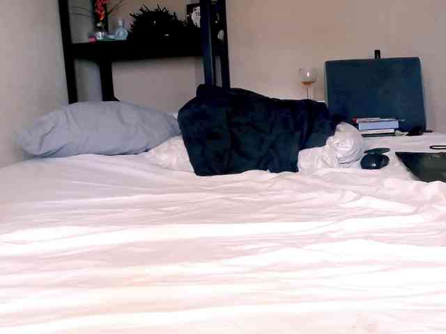 SmileDance webcam