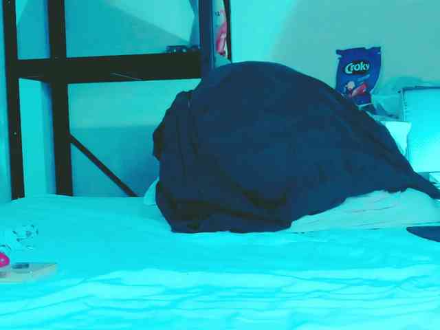SmileDance webcam