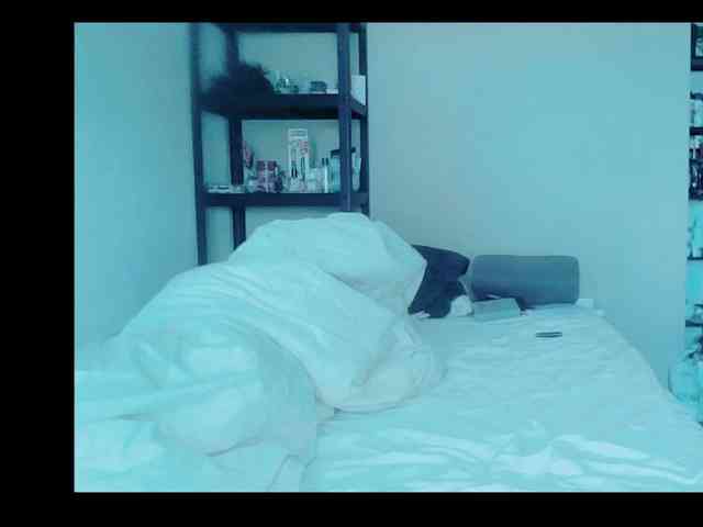 SmileDance webcam