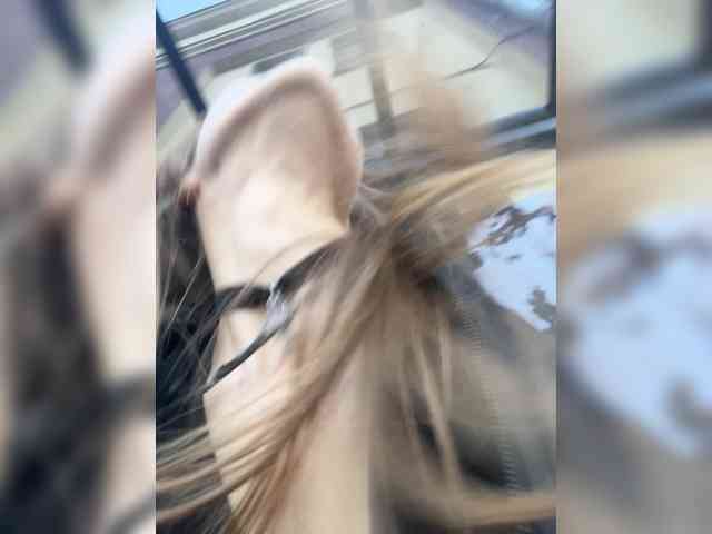 AliciaTroupe webcam