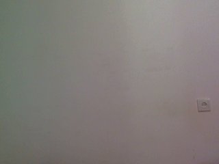 npcgirl Porn Show
