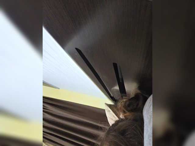 FLUFFY_BEAUTY