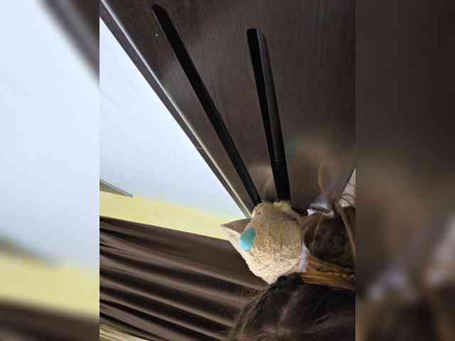 FLUFFY_BEAUTY webcam