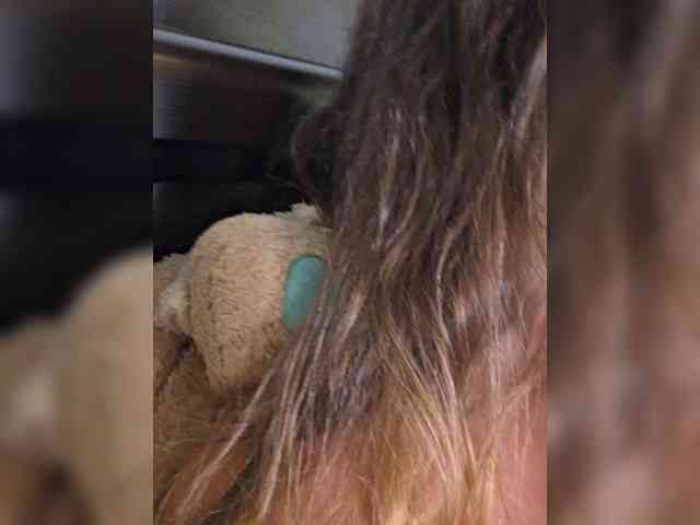 HairyCrotch