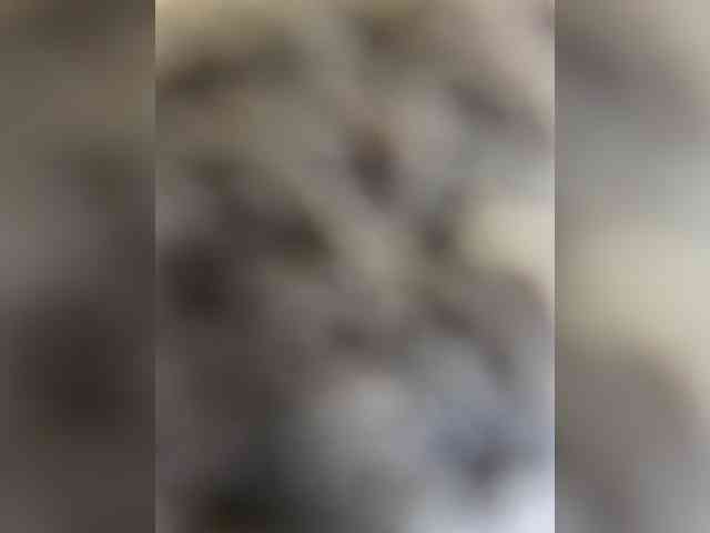 FLUFFY_BEAUTY webcam