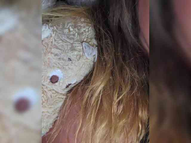 HairyCrotch Sex Cam Show