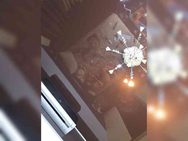 FLUFFY_BEAUTY webcam