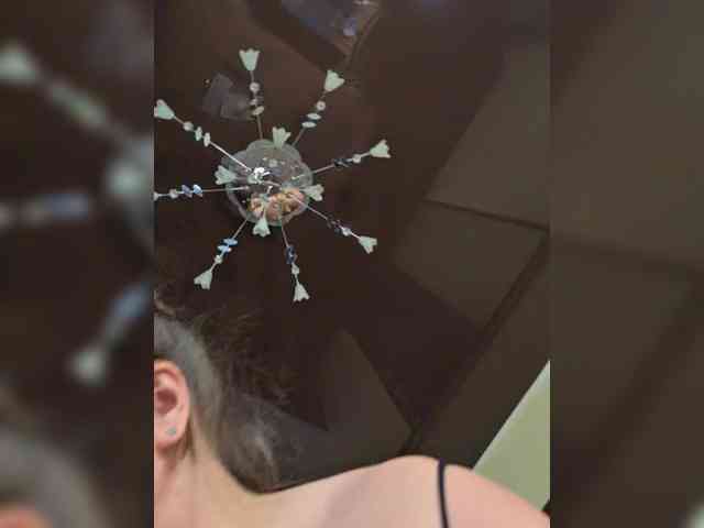 FLUFFY_BEAUTY webcam