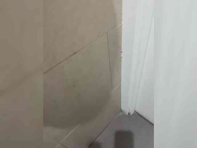 Valeria777161 webcam