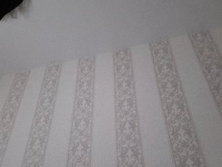 Zlykaa