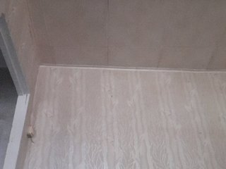 Zlykaa Porn Show