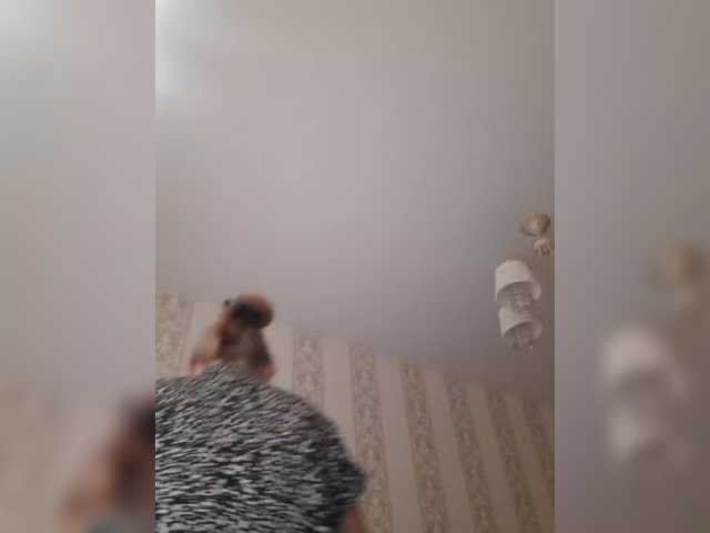 Zlykaa