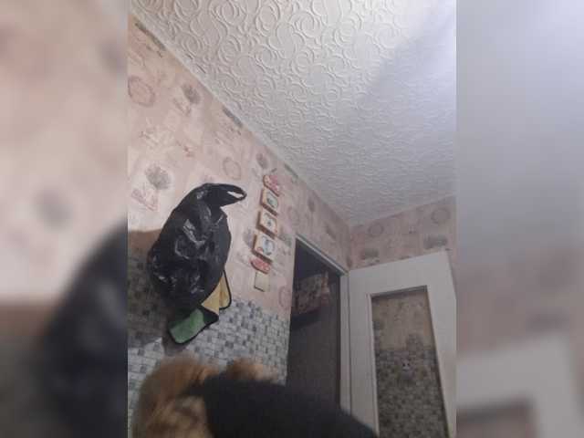 Zlykaa