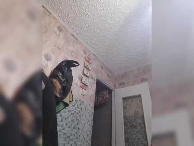 Zlykaa