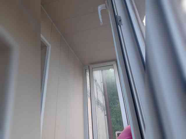 Zlykaa webcam