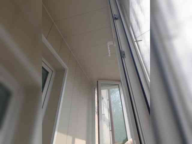 Zlykaa webcam
