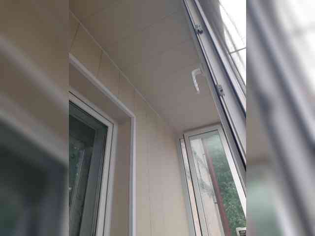 Zlykaa webcam
