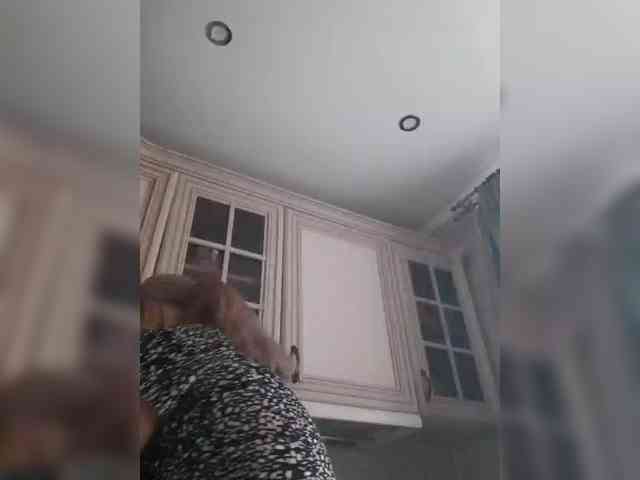 Zlykaa webcam