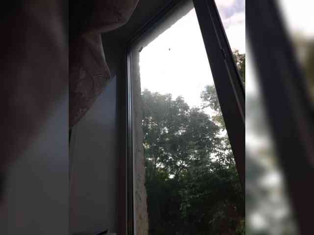 Zlykaa webcam