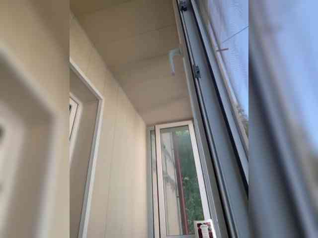 Zlykaa webcam