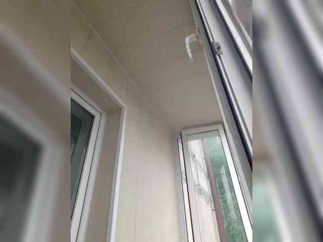 Zlykaa webcam
