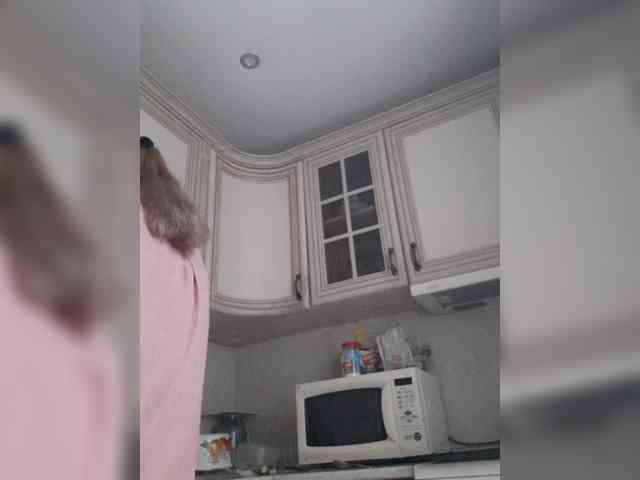 Zlykaa webcam