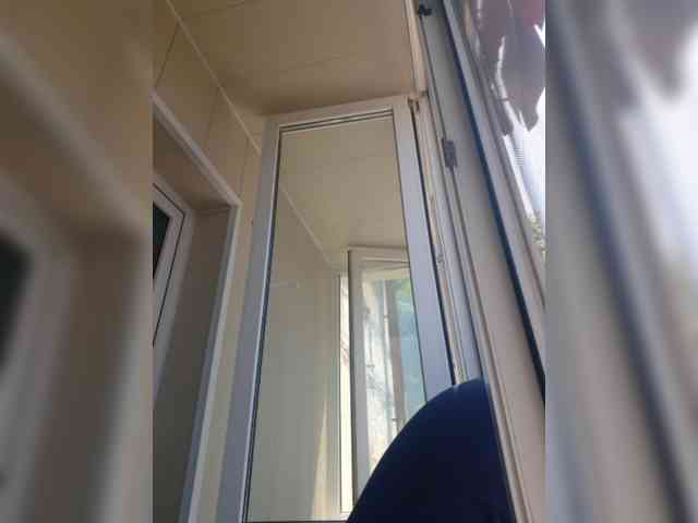 Zlykaa webcam