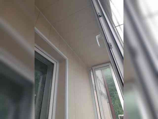 Zlykaa webcam