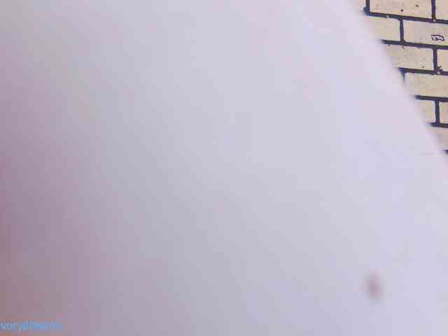IvoryDreams webcam