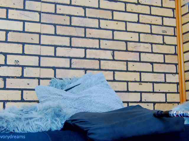 IvoryDreams webcam