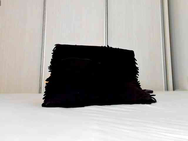 Aidasina webcam