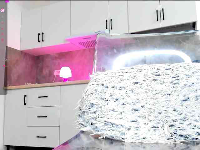 Aidasina webcam