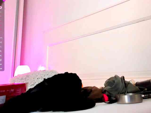 Aidasina webcam
