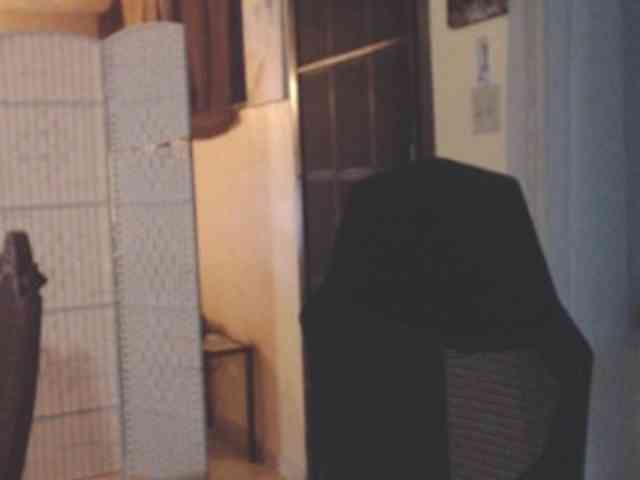 Modesto-1