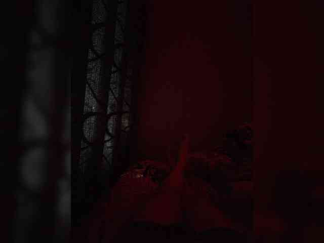 Evgenhw Sex Cam Show