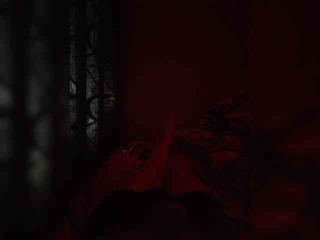Evgenhw Sex Cam Show