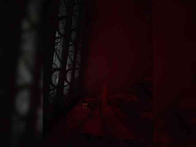 Evgenhw Sex Cam Show