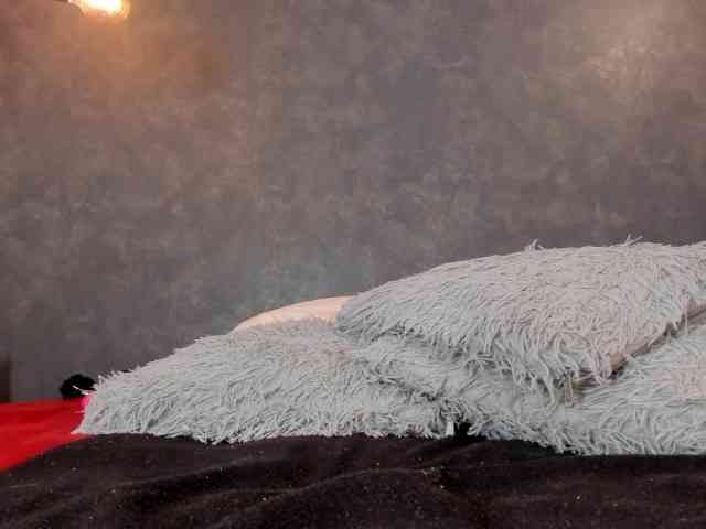 dayra-angels webcam