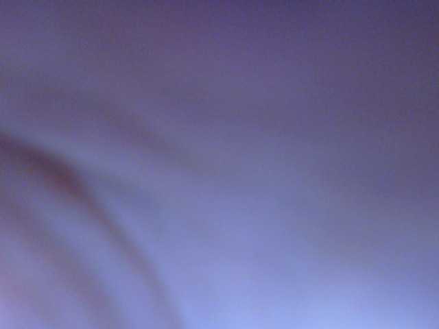 Hornydark
