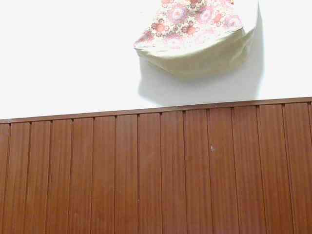 Mar52vip webcam