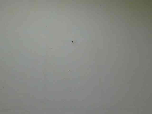 Mar52vip webcam