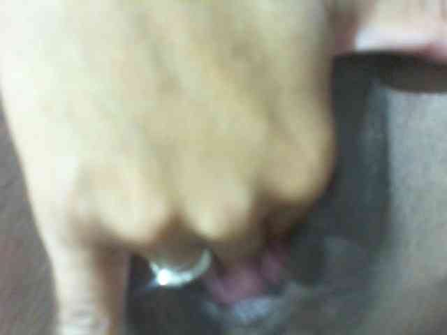 Lysah webcam