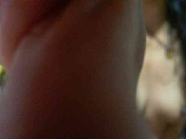 Lysah