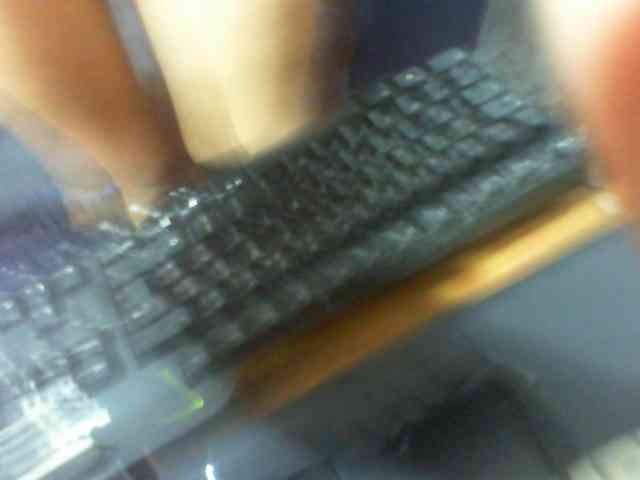 Lysah webcam