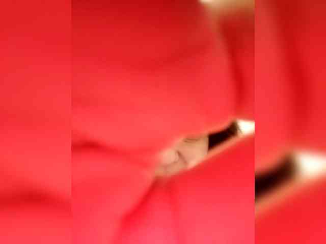 Dachahka webcam