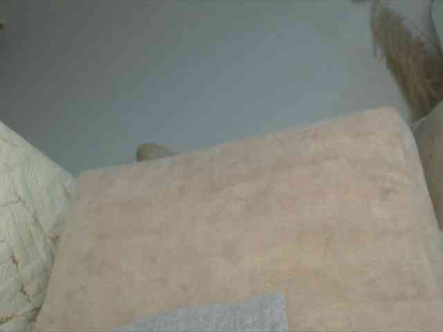 Trissabenson webcam