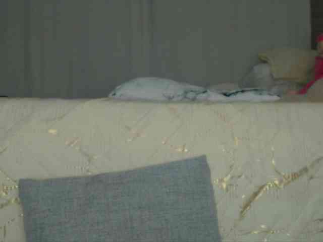 Trissabenson webcam
