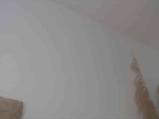 Trissabenson webcam